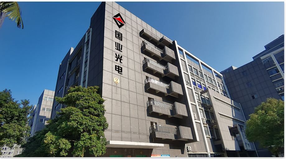 Shenzhen Guoye Optoelectronics 2024 Achoimre deireadh na Bliana